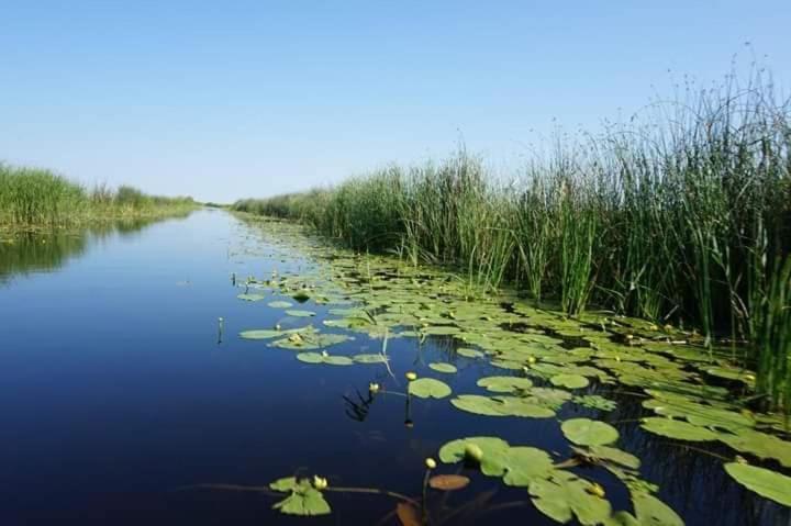 Apartament 2 Camere Semidecomandat "La Gicu" Суліна Екстер'єр фото